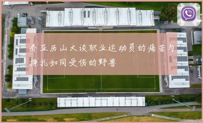 乔亚历山大谈职业运动员的痛苦与挣扎如同受伤的野兽